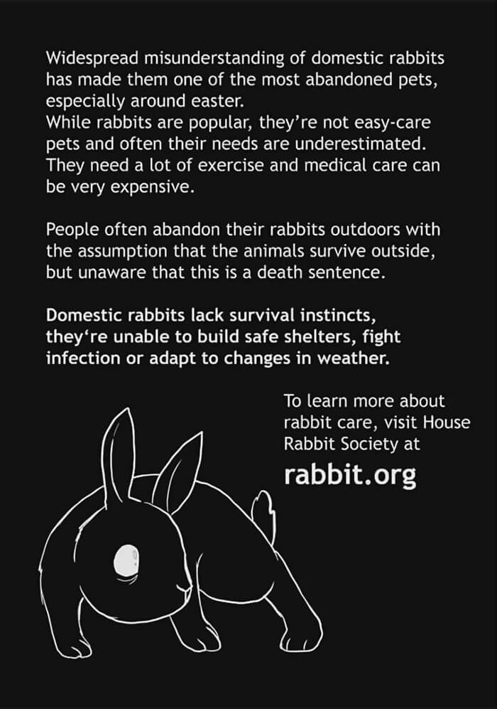 Artist Draws Heart Breaking Comic About Abandoned Pet Rabbit And Delivers Eye Opening Message 10 -Artist Draws Comic About Abandoned Pet Rabbit And Delivers Eye-Opening Message