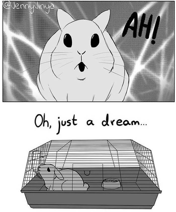 Artist Draws Heart Breaking Comic About Abandoned Pet Rabbit And Delivers Eye Opening Message 2 -Artist Draws Comic About Abandoned Pet Rabbit And Delivers Eye-Opening Message