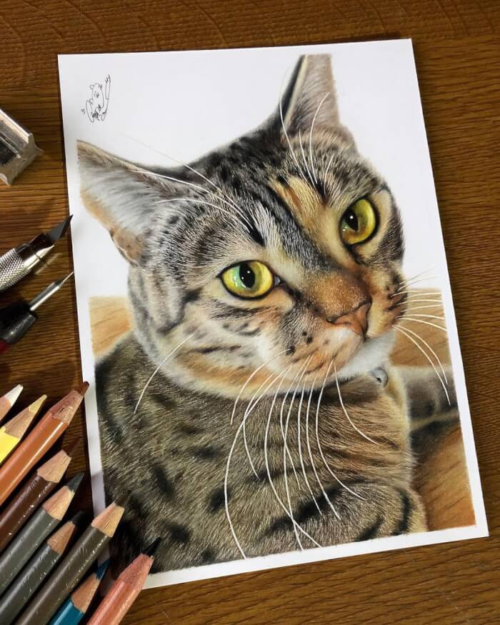 Artists Incredibly Photorealistic Drawings That We Cant Tell Them Apart From Real Things 7 -Artist'S Incredibly Photorealistic Drawings That We Can'T Tell Them Apart From Real Things!
