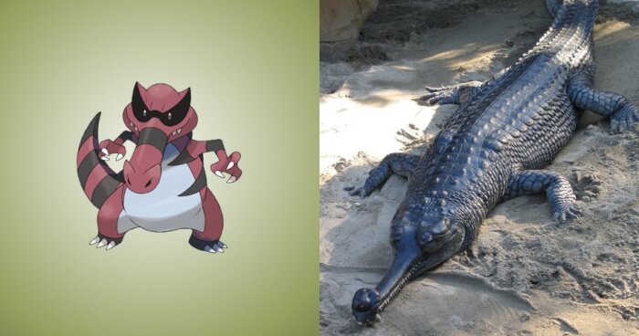 Do You Know That These Pokemon Are Inspired By Real Things 10 -Did You Know That These Pokémon Are Inspired By Real Things?