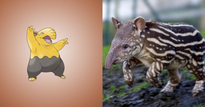 Do You Know That These Pokemon Are Inspired By Real Things 5 -Did You Know That These Pokémon Are Inspired By Real Things?