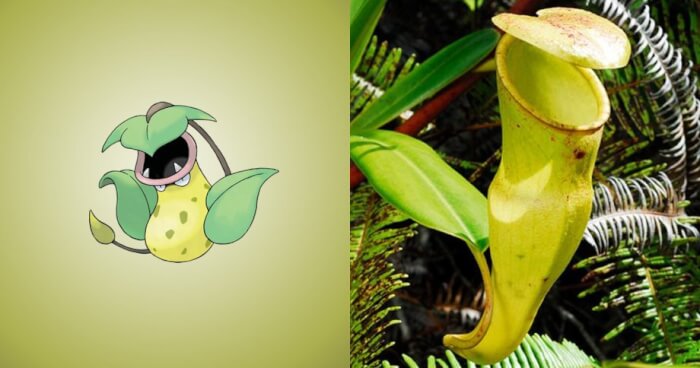 Do You Know That These Pokemon Are Inspired By Real Things 7 -Did You Know That These Pokémon Are Inspired By Real Things?