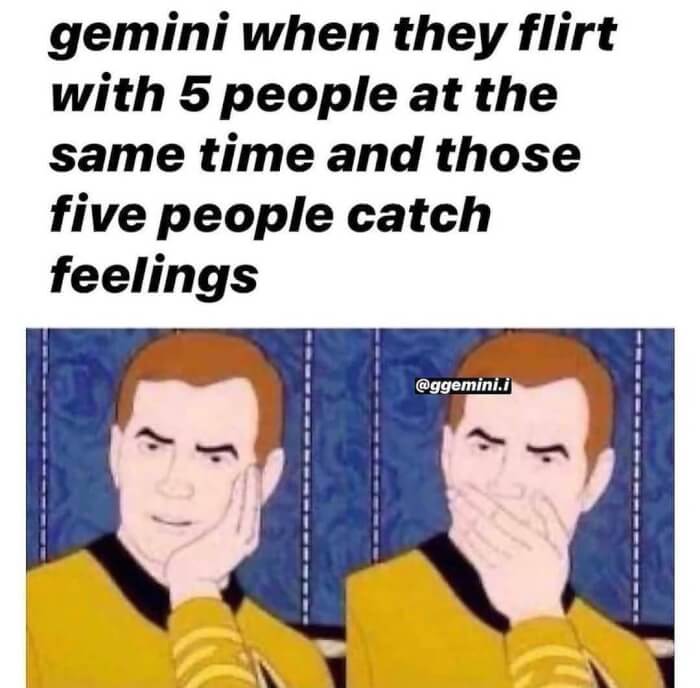 Gemini A Pro At Flirting These 15 Interesting Memes Will Prove It01 -Gemini - A Pro At Flirting, These 15 Interesting Memes Will Prove It