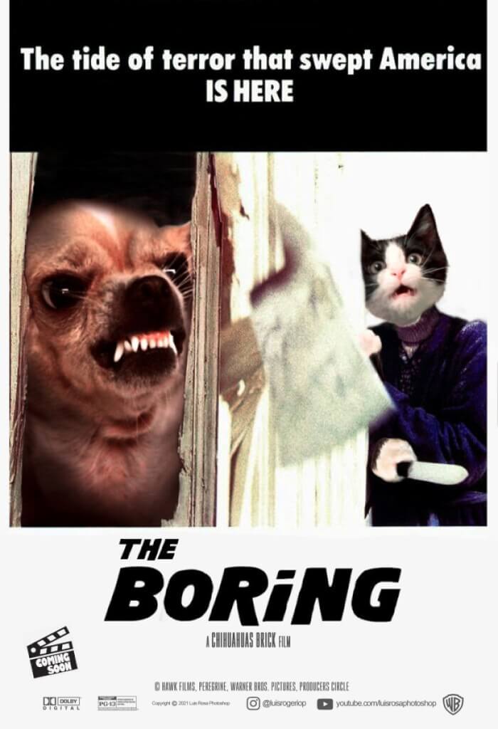 Movie Posters Replace Actors With Cats And Dogs 13 -Artist Replaces Actors With Cats And Dogs In Movie Posters, And The Results Are Humorous