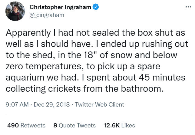 This Man Accidentally Released Hundreds Of Live Crickets Inside His House And Created Most Hilarious Catastrophe Ever 11 -This Man Accidentally Released Hundreds Of Live Crickets Inside His House And Created Most Hilarious Catastrophe Ever