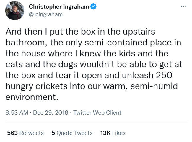 This Man Accidentally Released Hundreds Of Live Crickets Inside His House And Created Most Hilarious Catastrophe Ever 3 -This Man Accidentally Released Hundreds Of Live Crickets Inside His House And Created Most Hilarious Catastrophe Ever