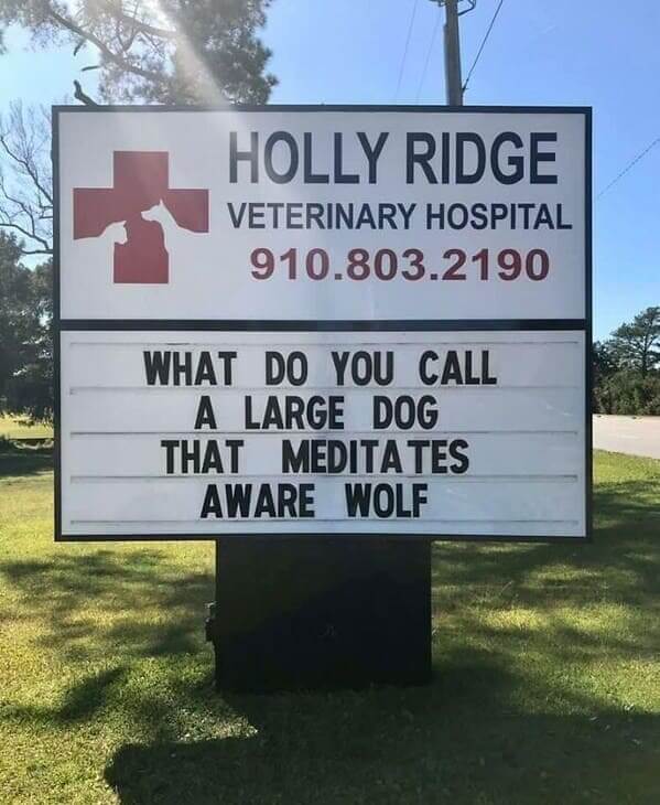 Vet Hospital Makes Funny And Creative Puns On Their Sign A Good Dose Of Humor For Every Passerby 10 -Vet Hospital Makes Funny And Creative Puns On Their Sign, A Good Dose Of Humor For Every Passerby
