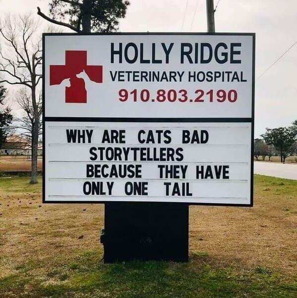 Vet Hospital Makes Funny And Creative Puns On Their Sign A Good Dose Of Humor For Every Passerby 4 -Vet Hospital Makes Funny And Creative Puns On Their Sign, A Good Dose Of Humor For Every Passerby