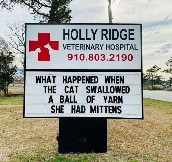 Vet Hospital Makes Funny And Creative Puns On Their Sign A Good Dose Of Humor For Every Passerby 6 -Vet Hospital Makes Funny And Creative Puns On Their Sign, A Good Dose Of Humor For Every Passerby