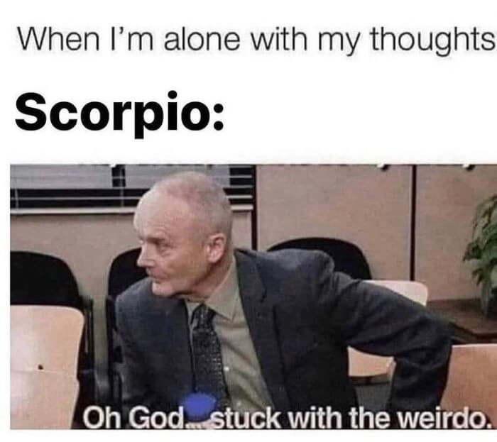 What Do Scorpions Think About Themselves Finding Out In 15 Hilarious Memes01 -What Do Scorpions Say About Themselves? Finding Out In 15 Hilarious Memes