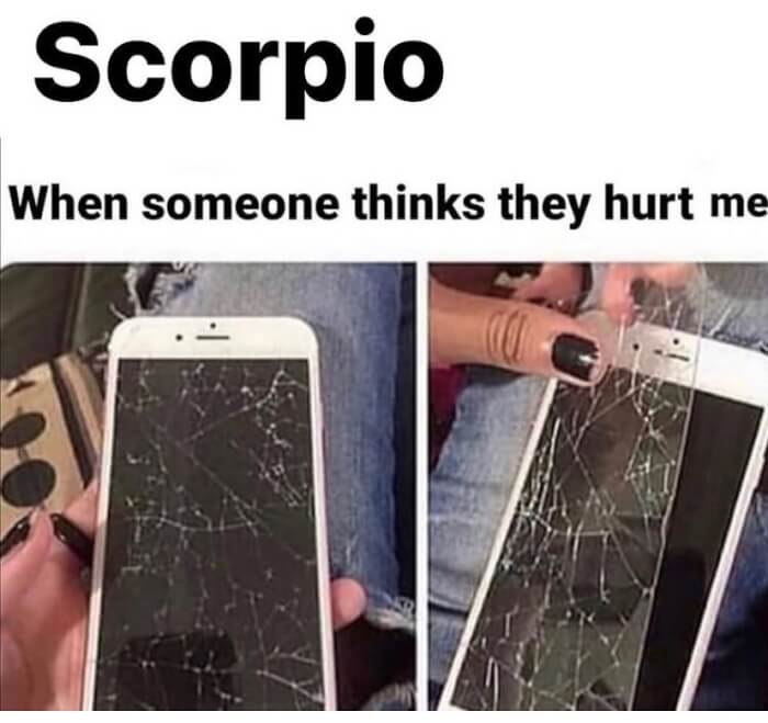 What Do Scorpions Think About Themselves Finding Out In 15 Hilarious Memes06 -What Do Scorpions Say About Themselves? Finding Out In 15 Hilarious Memes