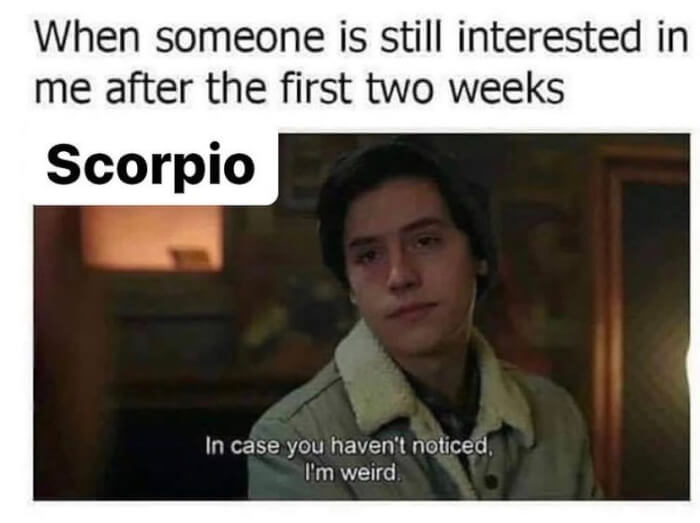 What Do Scorpions Think About Themselves Finding Out In 15 Hilarious Memes07 -What Do Scorpions Say About Themselves? Finding Out In 15 Hilarious Memes