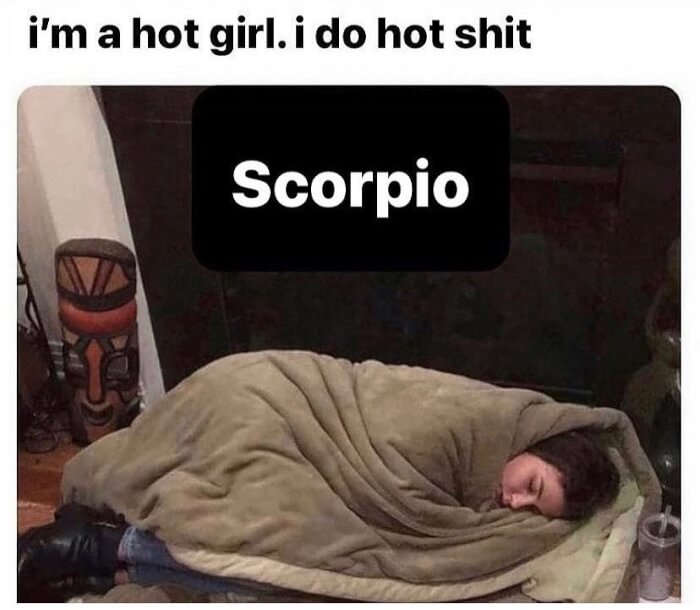 What Do Scorpions Think About Themselves Finding Out In 15 Hilarious Memes09 -What Do Scorpions Say About Themselves? Finding Out In 15 Hilarious Memes