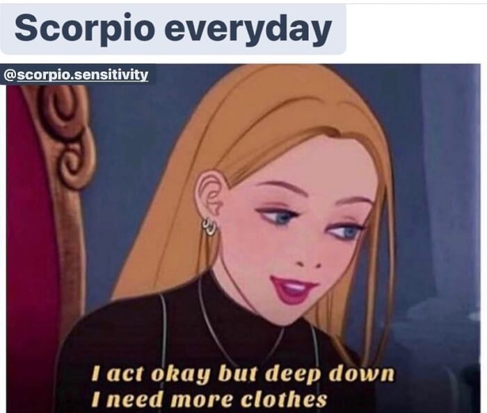 What Do Scorpions Think About Themselves Finding Out In 15 Hilarious Memes10 -What Do Scorpions Say About Themselves? Finding Out In 15 Hilarious Memes