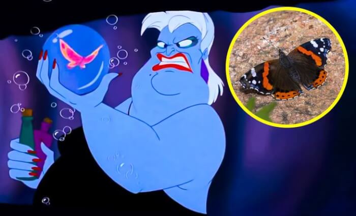 Do You Notice These 15 Details In Disney Movies 2 -Have You Noticed These 15 Tiny Details In Disney Movies?