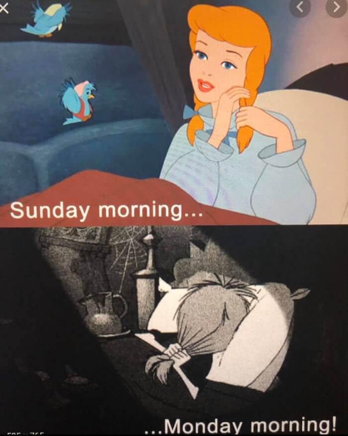 20 Funny Disney Meme 19 -20+ Funny Disney Memes You’ll Only Get If You'Re A Real Disney Fan