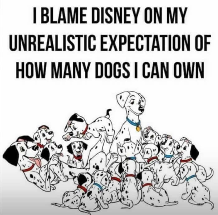 20 Funny Disney Meme 9 -20+ Funny Disney Memes You’ll Only Get If You'Re A Real Disney Fan