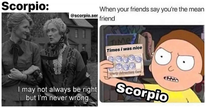 1963 -What Do Scorpions Say About Themselves? Finding Out In 15 Hilarious Memes