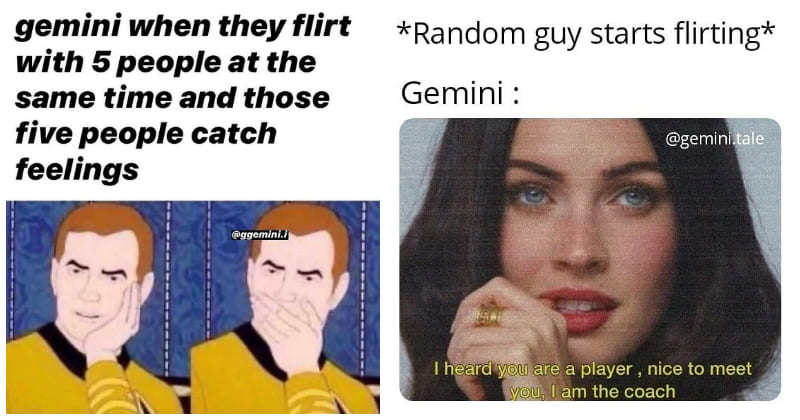 1966 -Gemini - A Pro At Flirting, These 15 Interesting Memes Will Prove It