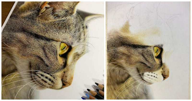 2075 -Artist'S Incredibly Photorealistic Drawings That We Can'T Tell Them Apart From Real Things!