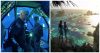 3008 -Filmmaker Reveals Secrets Of Avatar 2 Massive Oceanic World