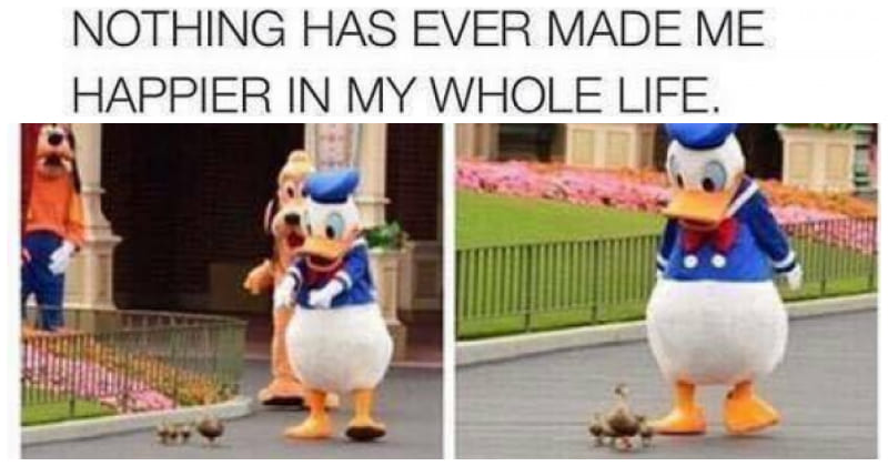 3335 -16 Disney Memes And Stories With Wholesome Vibes