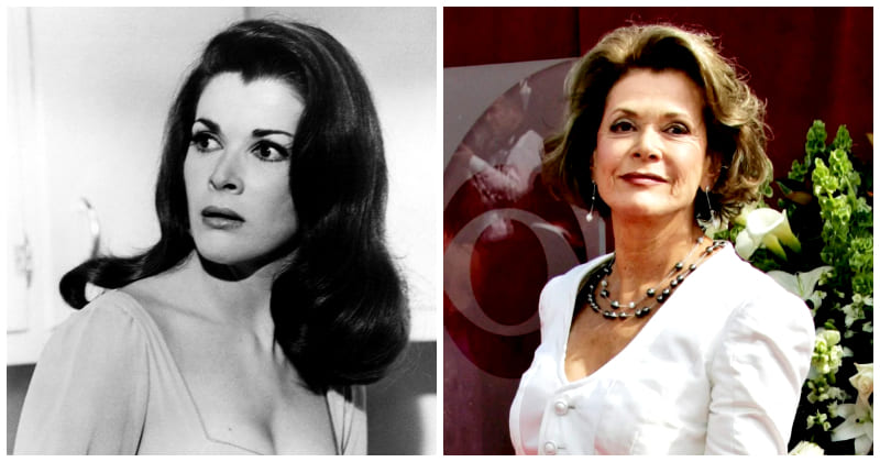 4919 -Jessica Walter, Emmy-Nominated Star From 'Arrested Development' And 'Archer,' Passed At 80