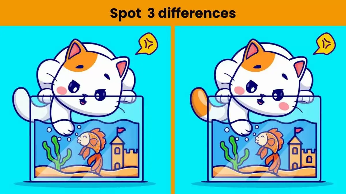 Spot 3 Differences In Cat And Fish Picture -Try And Spot 3 Differences In The Cat And Fish Picture In 7 Seconds!