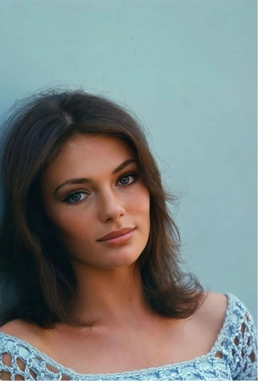 Timeless Beauty: Jacqueline Bisset'S Most Dazzling Looks Unveiled [30 Photos]