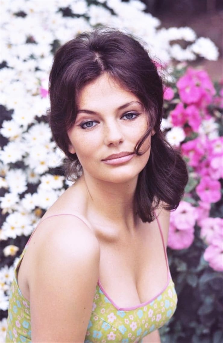 Timeless Beauty: Jacqueline Bisset'S Most Dazzling Looks Unveiled [30 Photos]