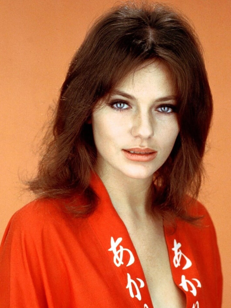 Timeless Beauty: Jacqueline Bisset'S Most Dazzling Looks Unveiled [30 Photos]