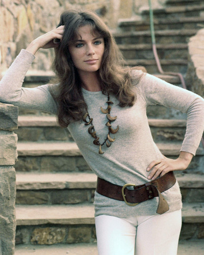 Timeless Beauty: Jacqueline Bisset'S Most Dazzling Looks Unveiled [30 Photos]