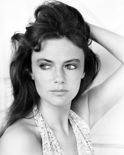 Timeless Beauty: Jacqueline Bisset'S Most Dazzling Looks Unveiled [30 Photos]