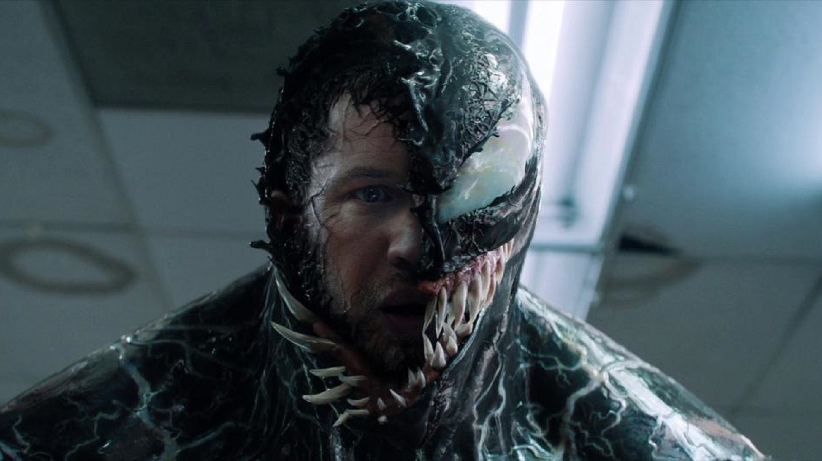 Venom 3'S Release Date Officially Get A Huge Bump Up!