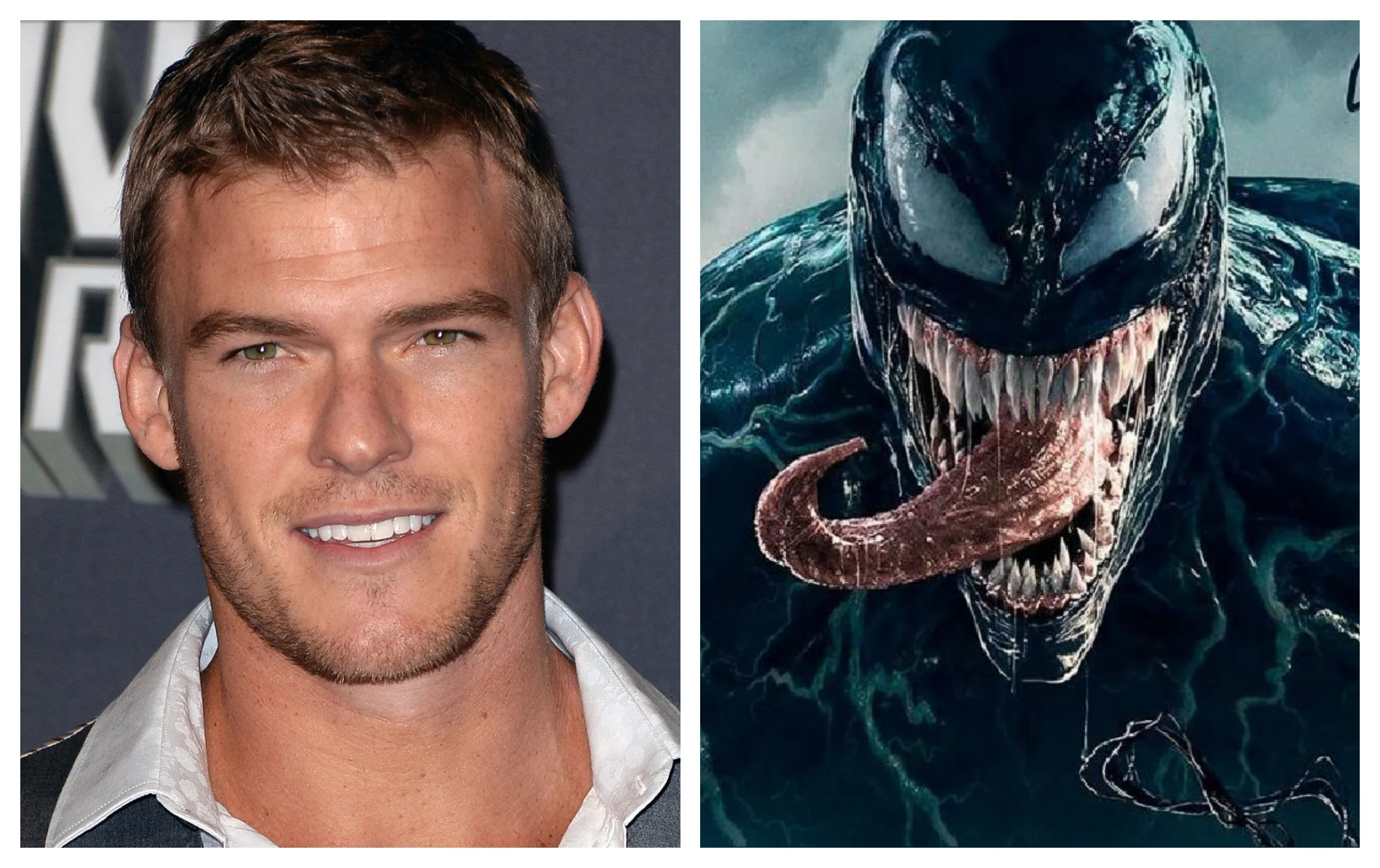 Rumor: Alan Ritchson Could Be The Next Venom In The Mcu