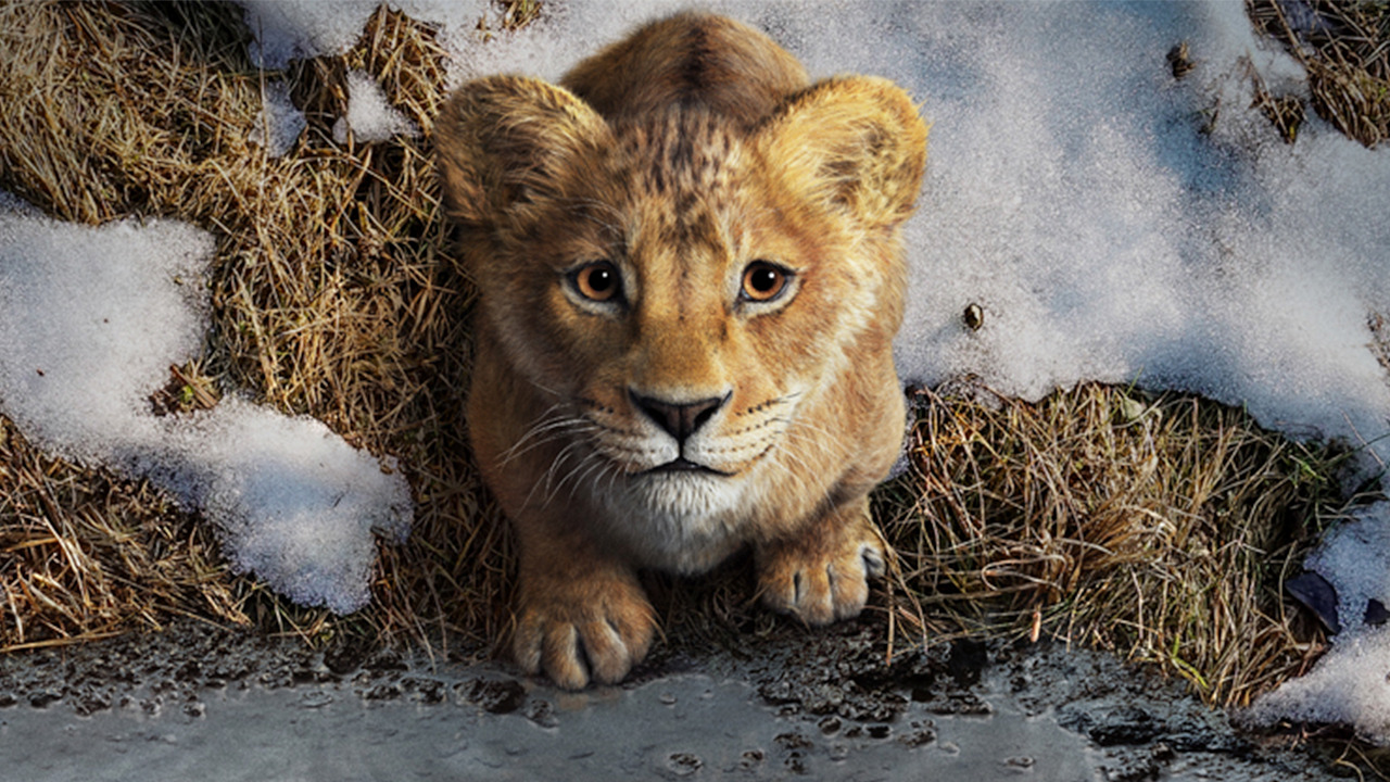 &Quot;Mufasa: The Lion King&Quot; First Trailer Drops, Released By Disney
