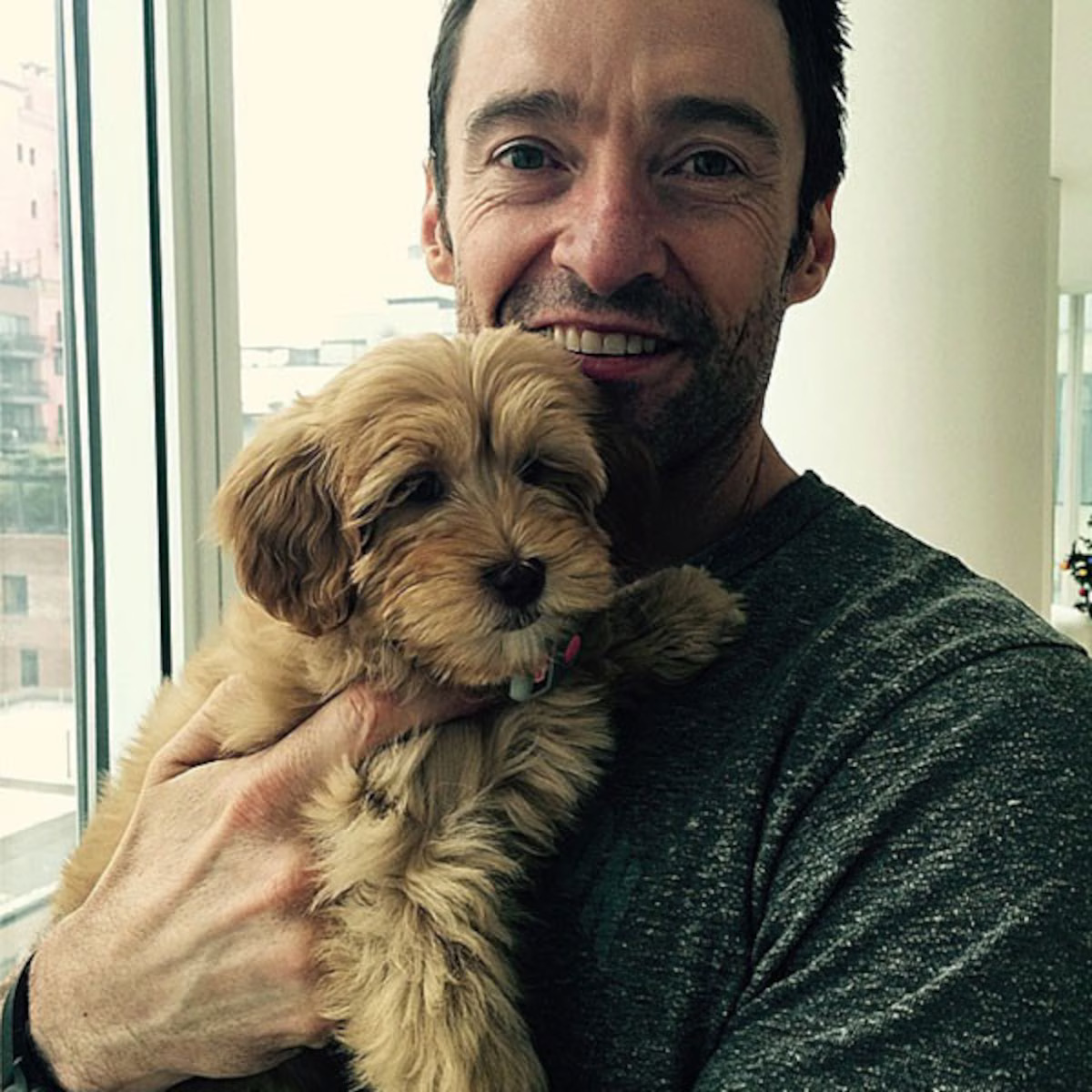 10+ Amazing Insights Into Hugh Jackman’s Life You May Have Missed