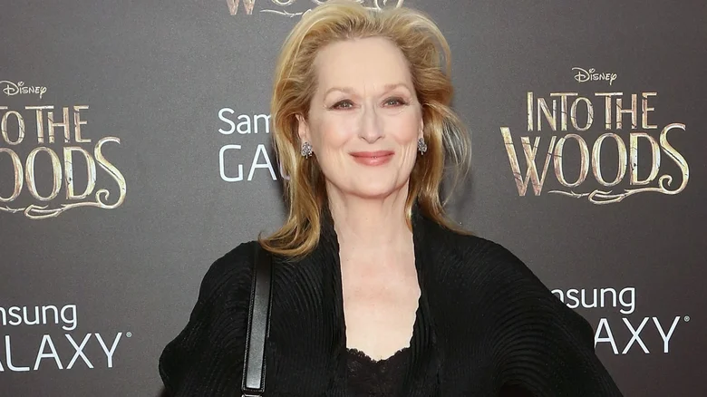 Meryl Streep'S Remarkable Transformations That Astonish Audiences Worldwide