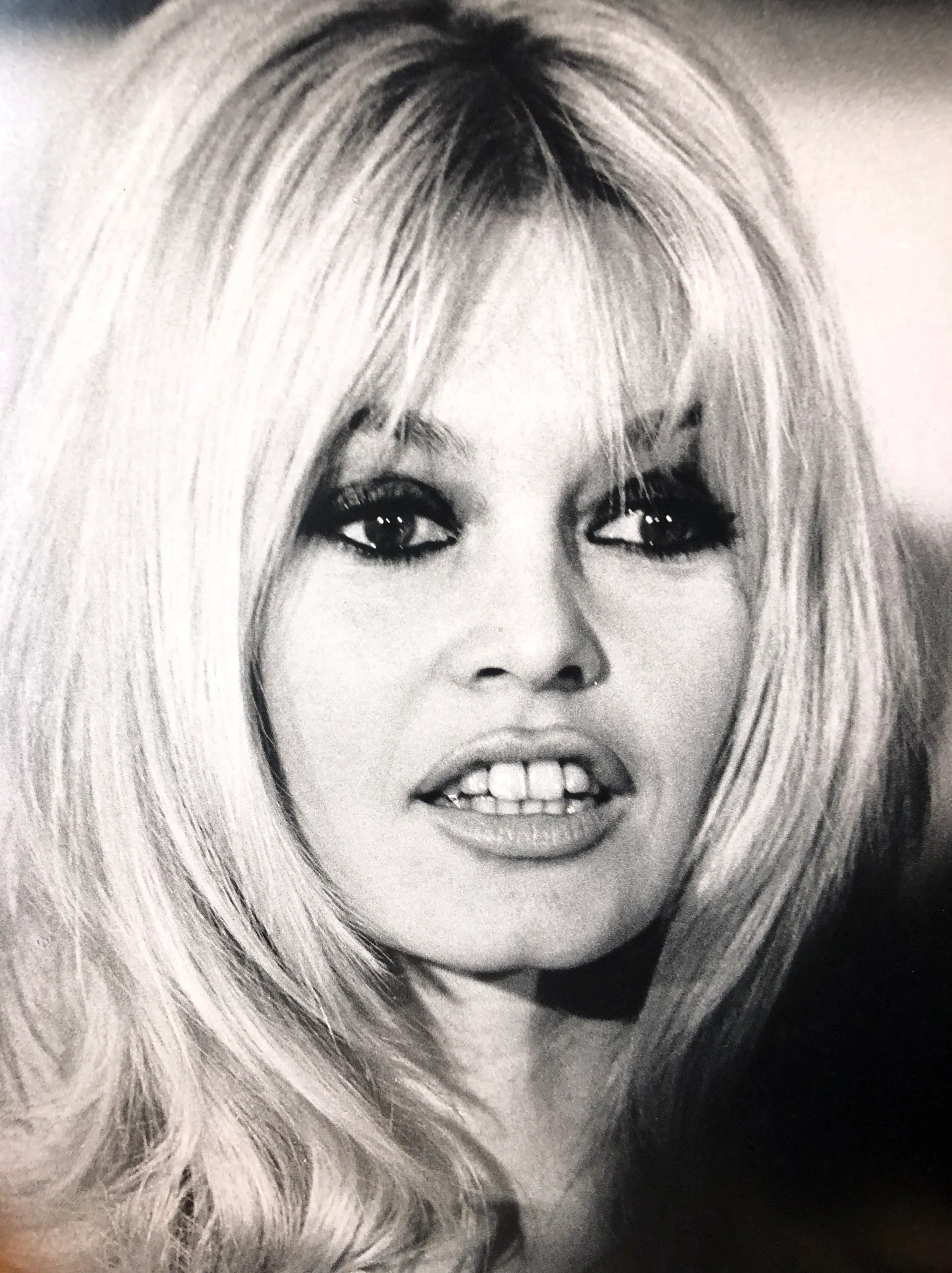 21 Brigitte Bardot'S Iconic Moments Through The Years