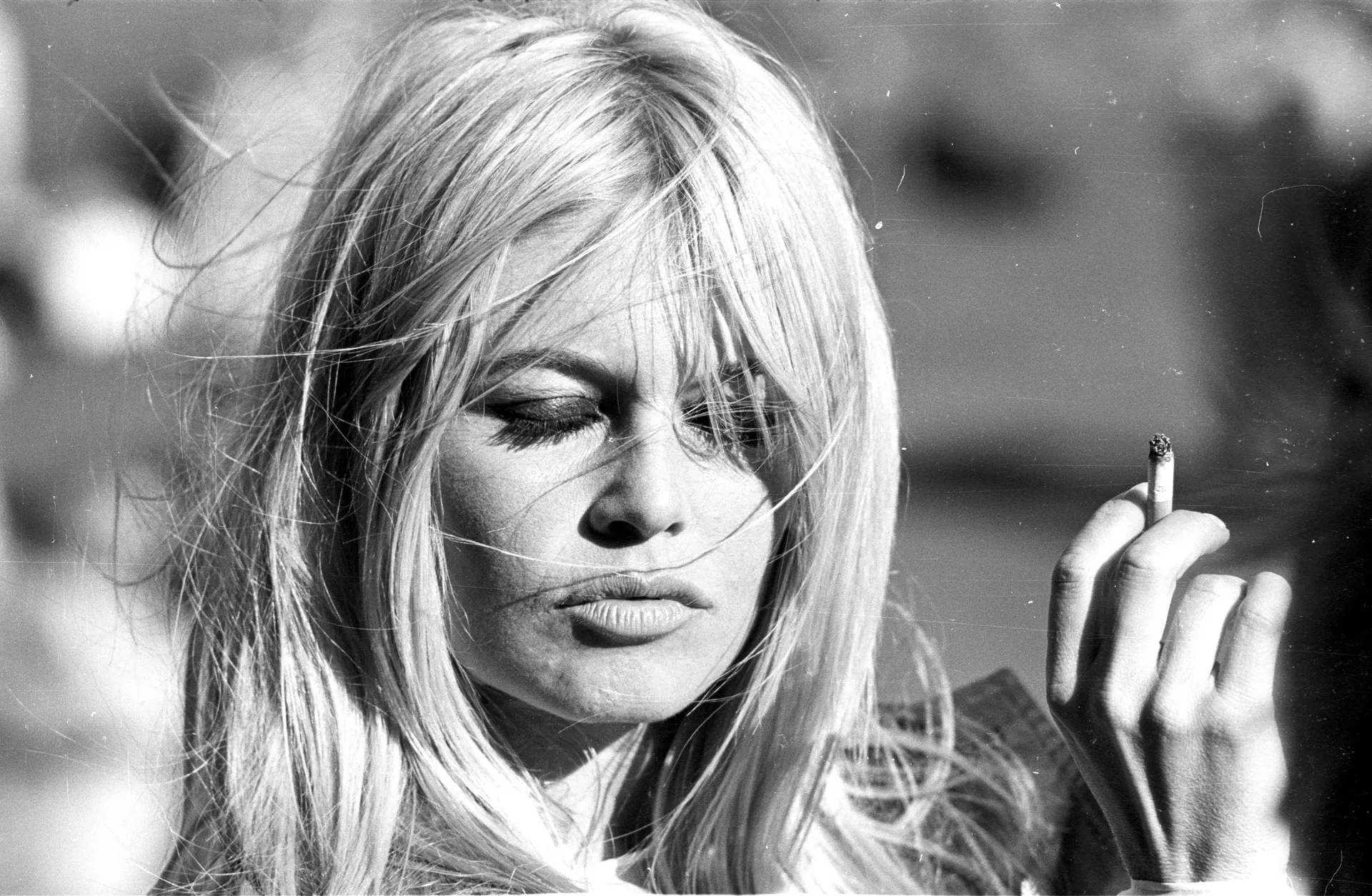 21 Brigitte Bardot'S Iconic Moments Through The Years