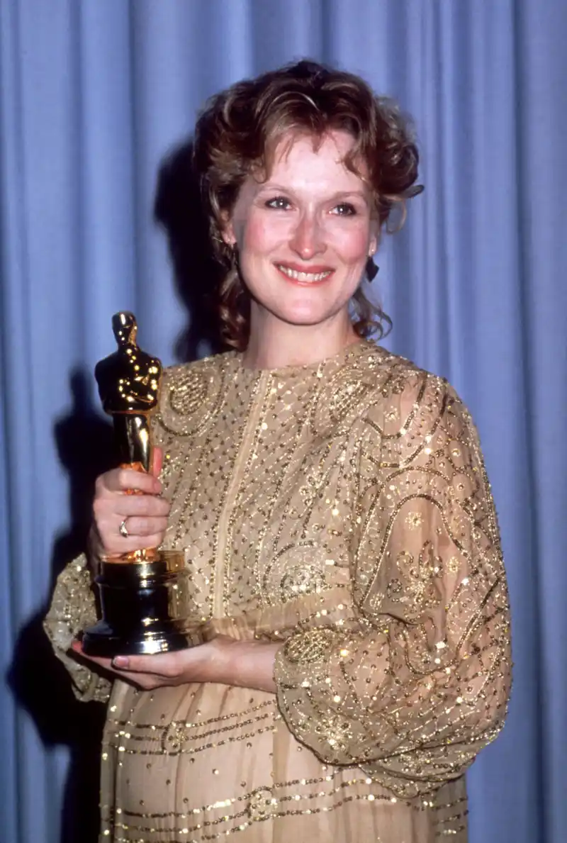 The Stunning Transformation Of Meryl Streep That Redefined Stardom