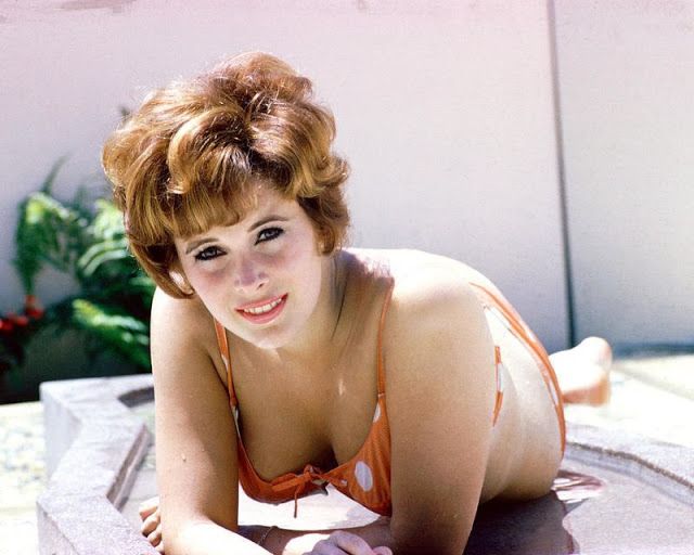 19 Jill St. John'S Incredible But Little-Known Facts