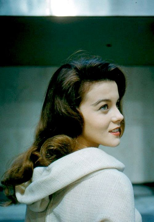 Ann-Margret: Timeless Beauty In Vintage 1960S Photos