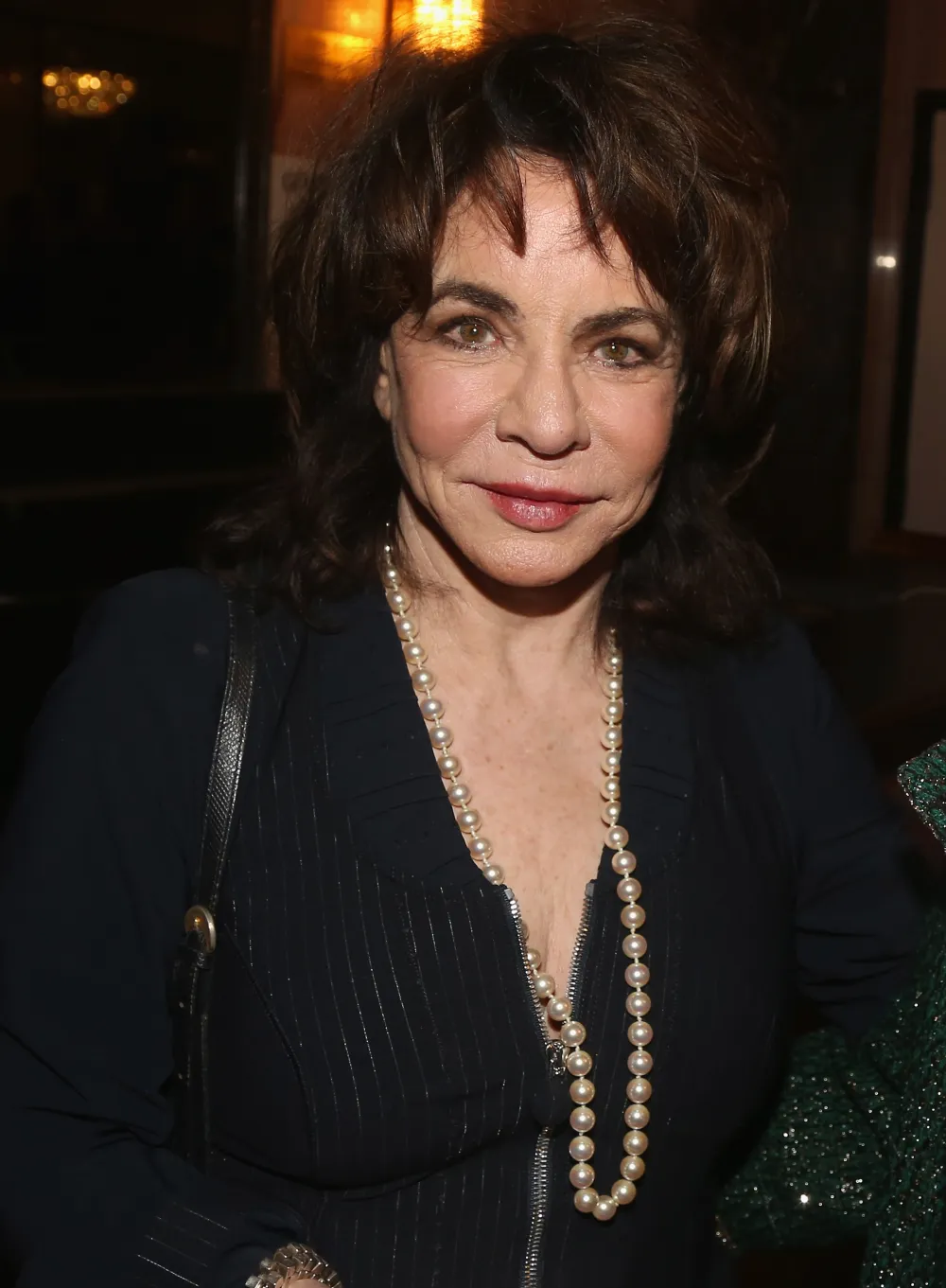 Stockard Channing'S Stunning Transformation: 'Grease' Star Then And Now In Photos