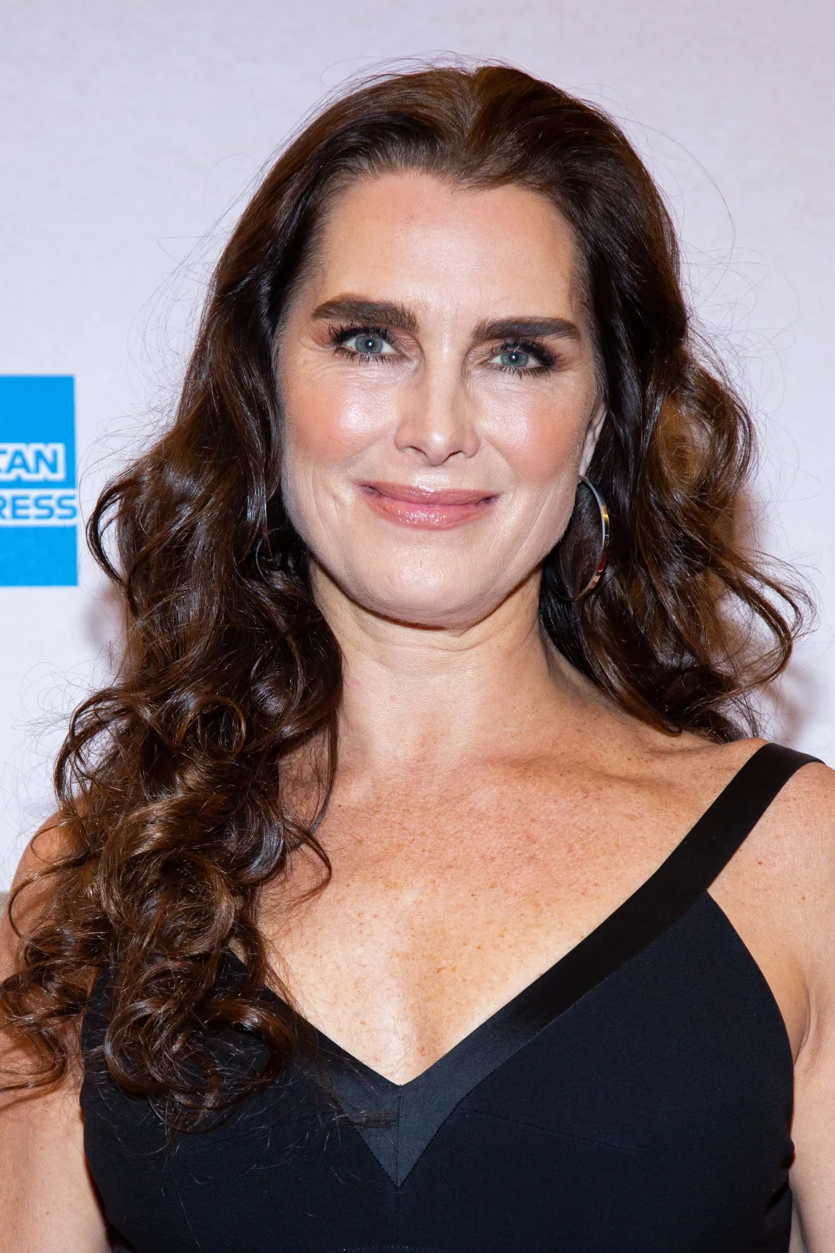 14 Photos To Show How Brooke Shields Is Aging Gracefully