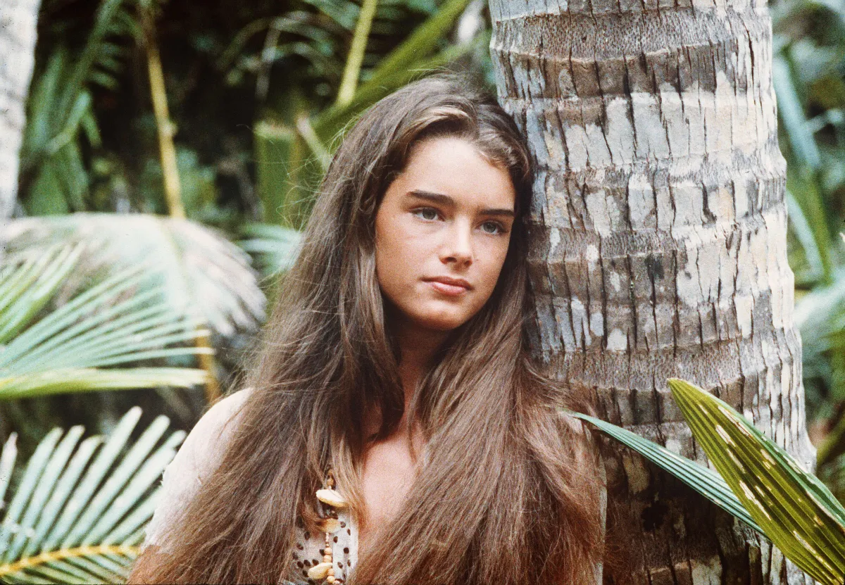 14 Photos To Show How Brooke Shields Is Aging Gracefully