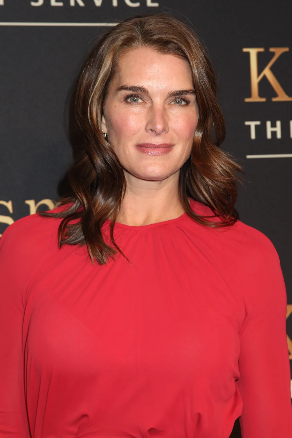 14 Photos To Show How Brooke Shields Is Aging Gracefully