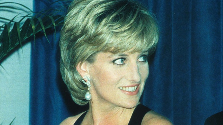 The Life Of Princess Diana Through 9 Iconic Snapshots Of Her Life