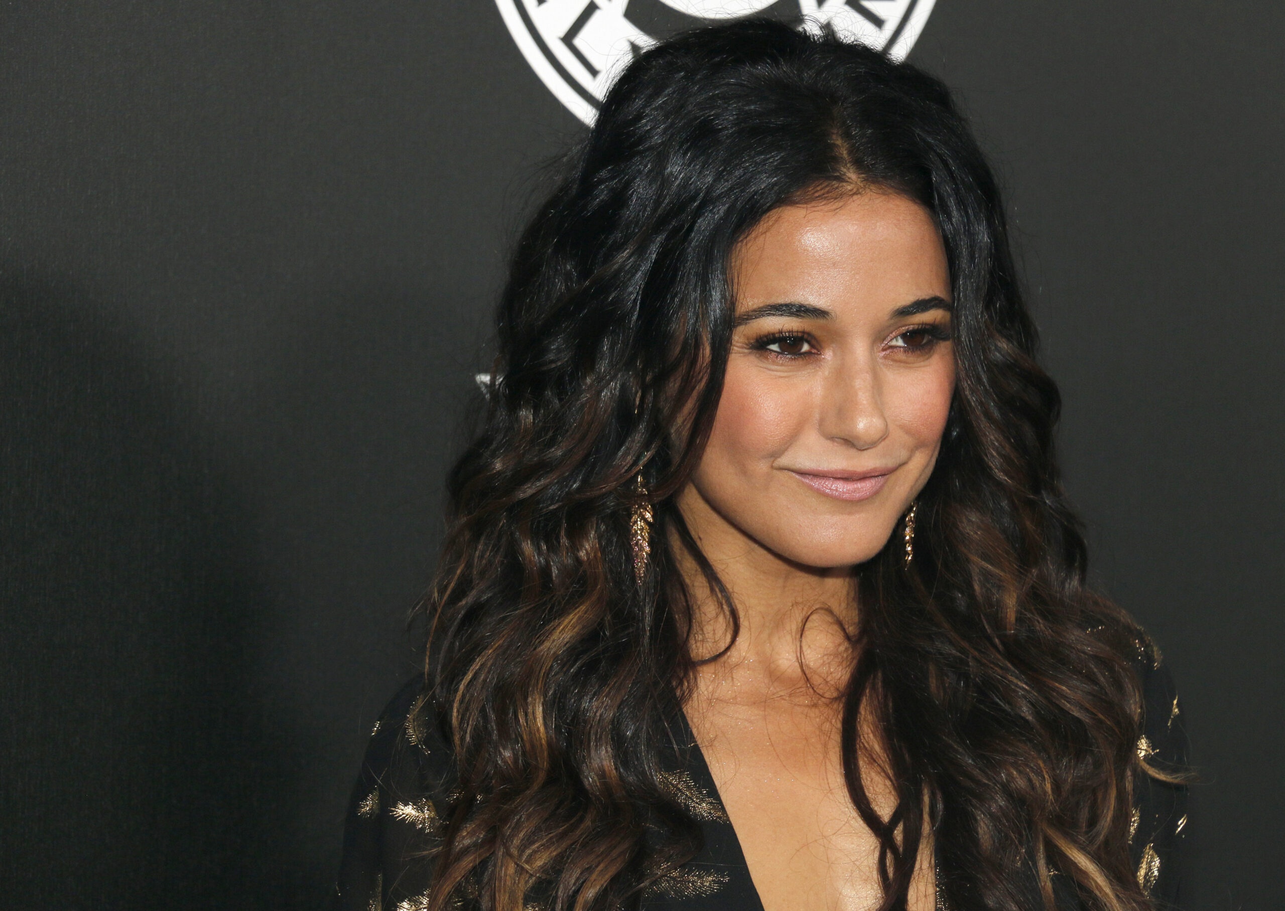 Emmanuelle Chriqui Trivia: 10 Fascinating Tidbits You Didn'T Know