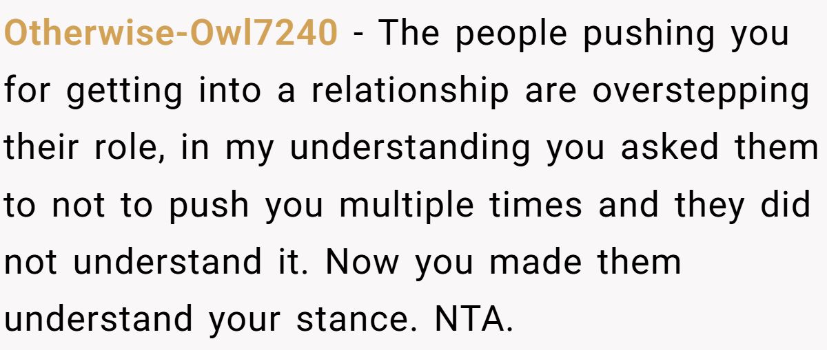 She Yelled at Her Sister for Telling Her to Date Again - Now the Family Is Split Otherwise-Owl7240 − The people pushing you for getting into a relationship are overstepping their role, in my understanding you asked them to not to push you multiple times and they did not understand it. Now you made them understand your stance. NTA.